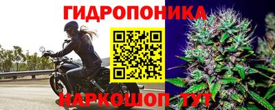 шишки Волгодонск