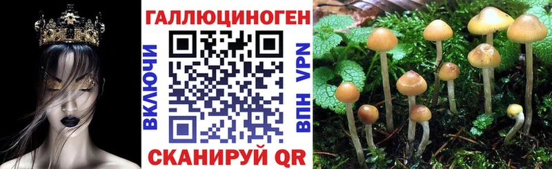 Псилоцибиновые грибы Magic Shrooms omg сайт Воронеж