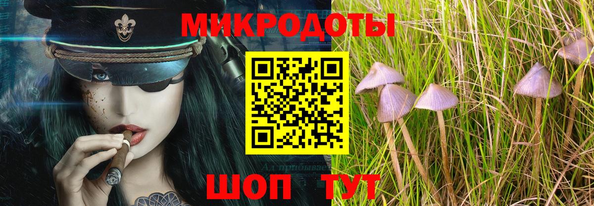 A PVP Воронеж