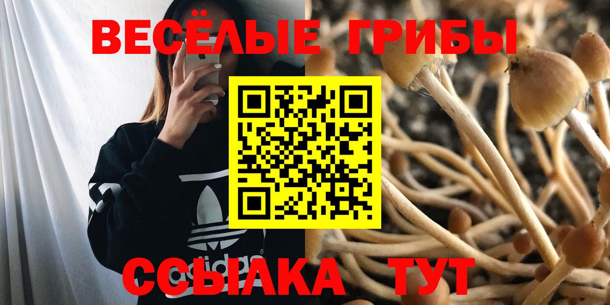 Псилоцибиновые грибы ЛСД  Галлюциногенные грибы Psilocybe  Воронеж  Вход с VPN 